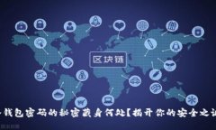 冷钱包密码的秘密藏身何处？揭开你的安全之谜