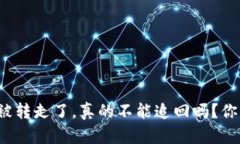 TP钱包里的币被转走了，真的不能追回吗？你的资
