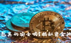 你的T P钱包真的安全吗？揭秘资金池锁定真相！