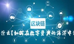 冷钱包究竟是什么？如何在数字资产的海洋中保