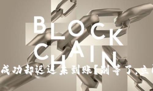 TP钱包兑换成功却迟迟未到账？别等了，立即采取行动！