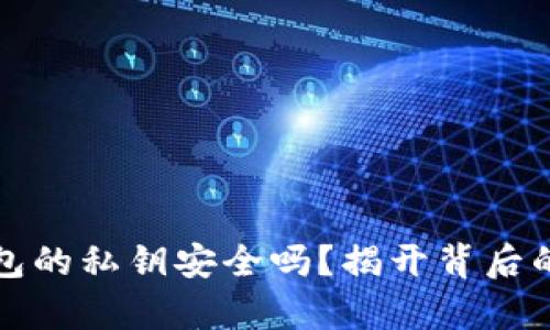 TP钱包的私钥安全吗？揭开背后的真相