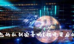 TP钱包的私钥安全吗？揭开背后的真相